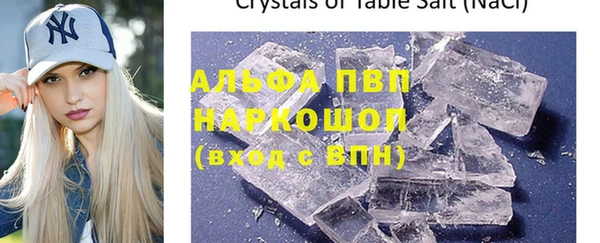 стаф Горнозаводск