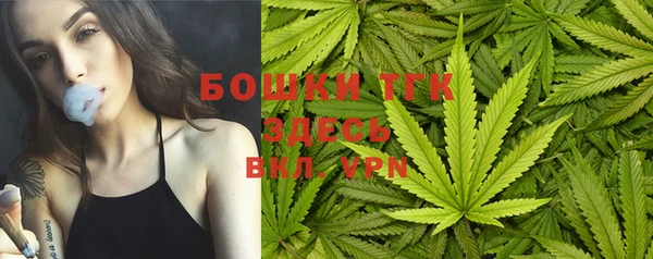 ешки Переславль-Залесский