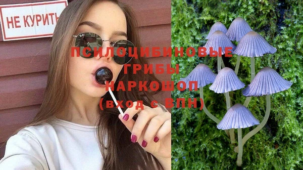 твердый Горно-Алтайск