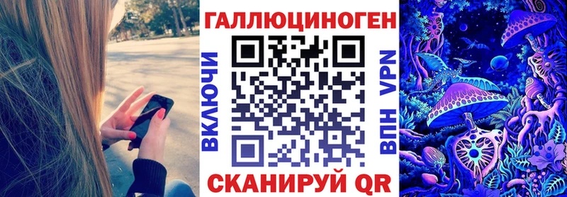Галлюциногенные грибы Psilocybe  Пересвет 